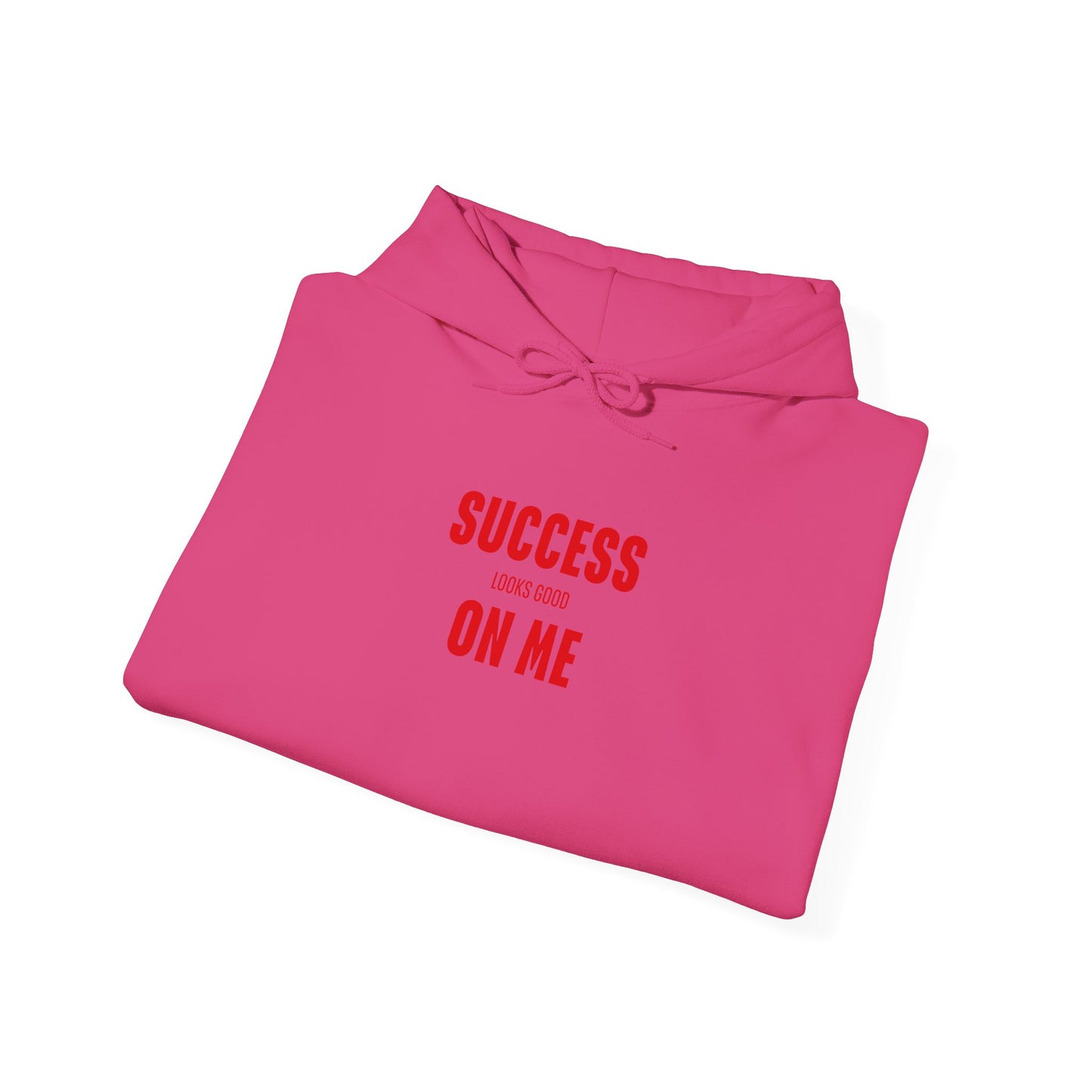 SUCCESS LOOKS GOOD ON ME HOODIE