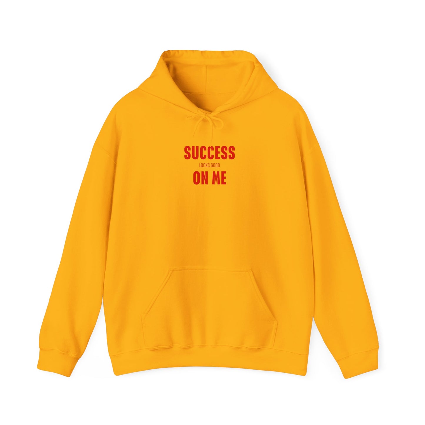 SUCCESS LOOKS GOOD ON ME HOODIE